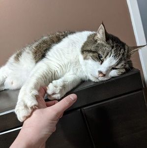 Meet your Posher, Amyleigh